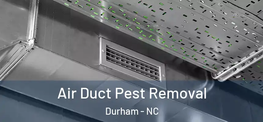 Air Duct Pest Removal Durham - NC