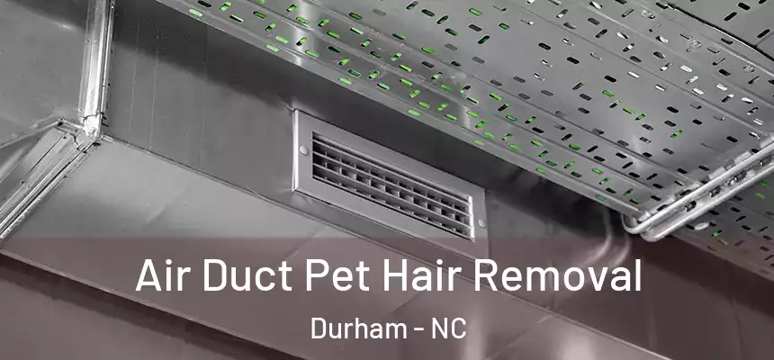 Air Duct Pet Hair Removal Durham - NC
