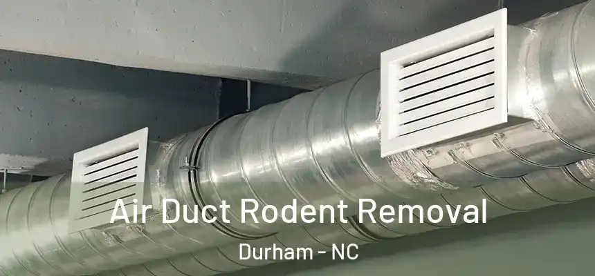 Air Duct Rodent Removal Durham - NC