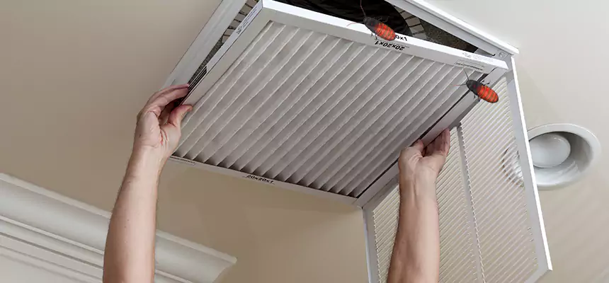 Our Insect Removal from Air Ducts Services in Durham, NC