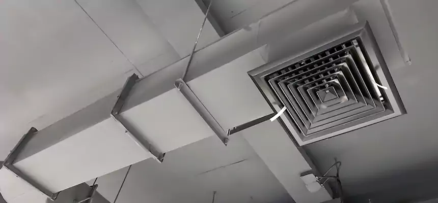 Our Pest Removal From Ducts Services in Durham, NC