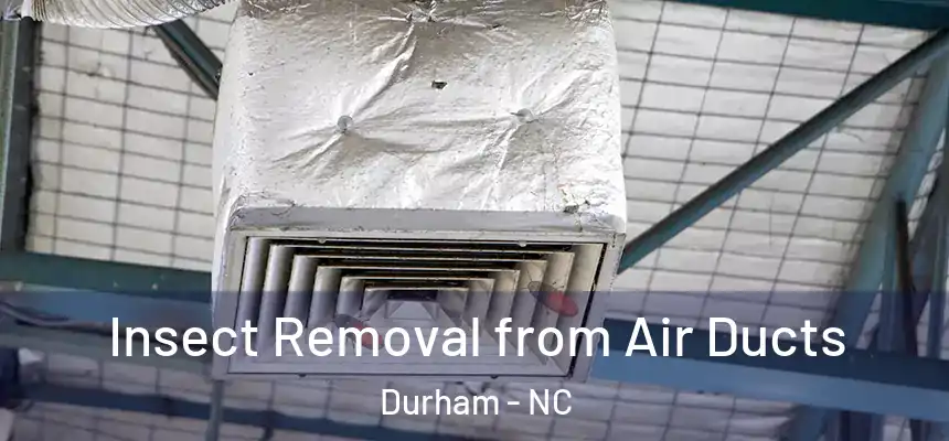  Insect Removal from Air Ducts Durham - NC