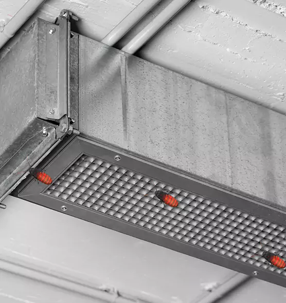 About Air Duct Cockroach Removal in Durham, NC