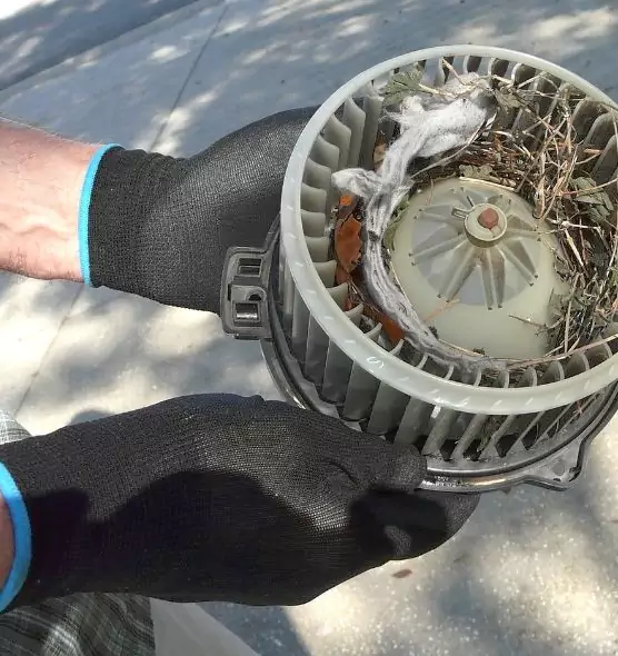 About Air Duct Rat Removal in Durham, NC