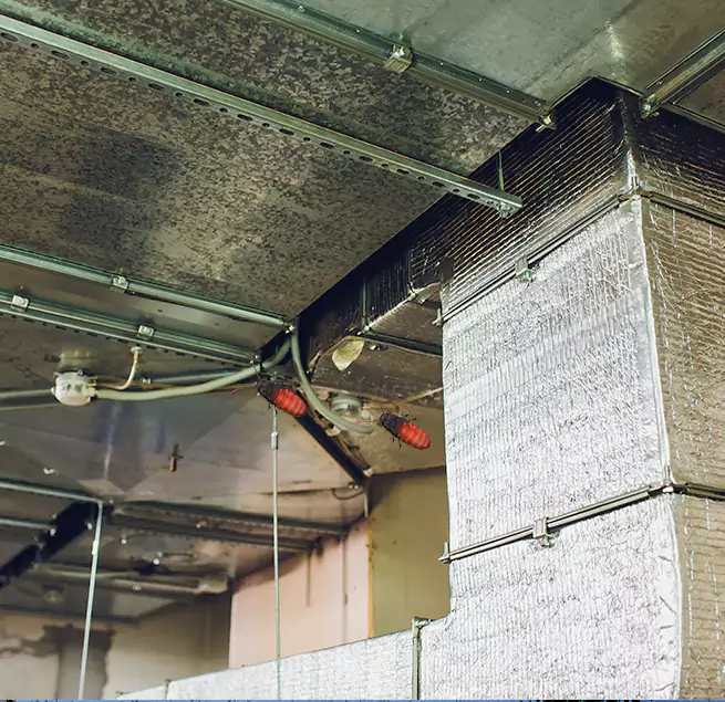 Why Homeowners & Businesses Trust Us in Durham, NC?