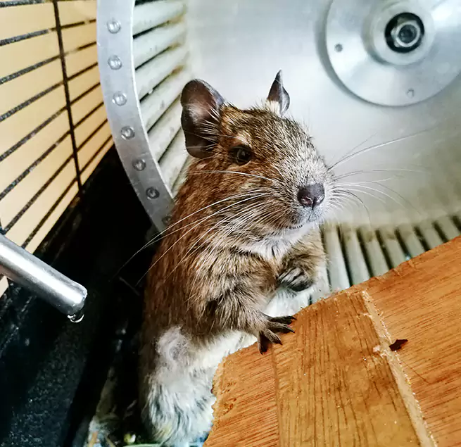 Why Homeowners & Businesses Trust Us Durham, NC?