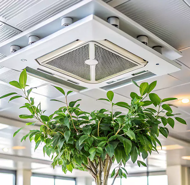 Why Homeowners & Businesses Trust Us in Durham, NC?