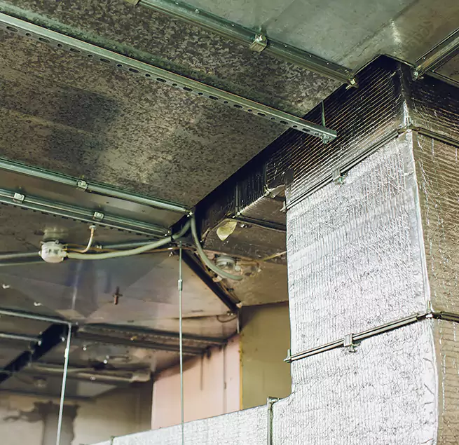 Why Homeowners & Businesses Trust Us in Durham, NC?